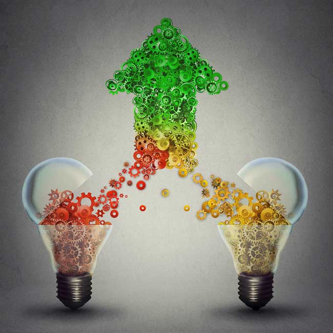 growth capital or buyout