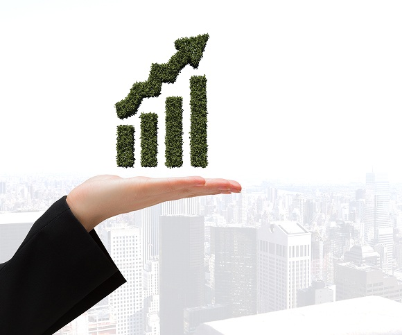 Explanation of how growth capital works